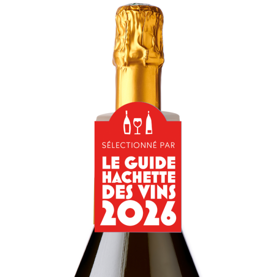 Collerette Sélection -  Effervescent