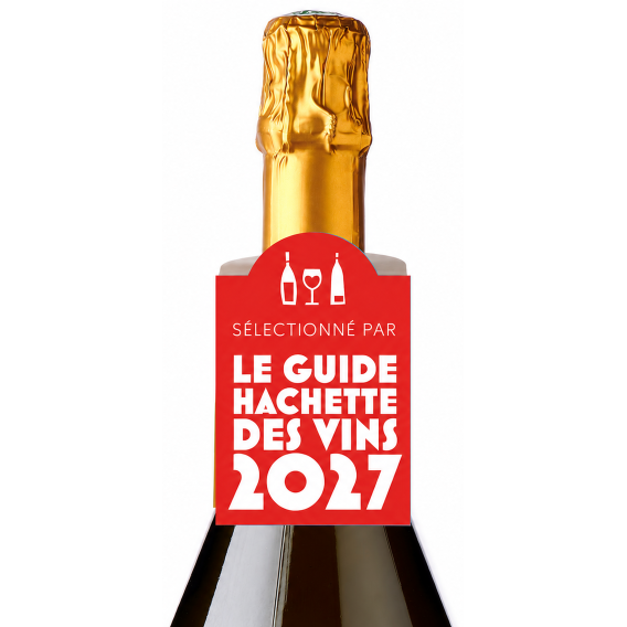 Collerette Sélection -  Effervescent